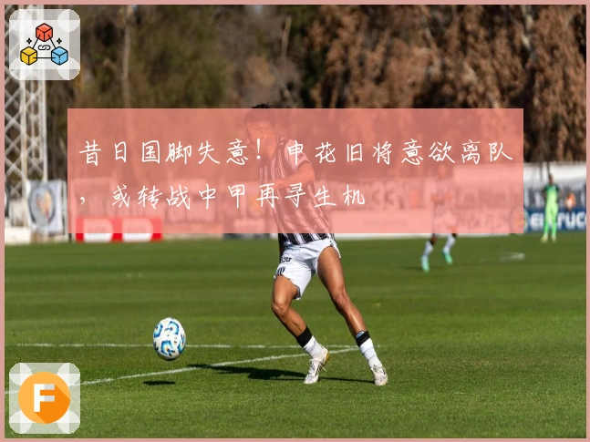 昔日国脚失意！申花旧将意欲离队，或转战中甲再寻生机